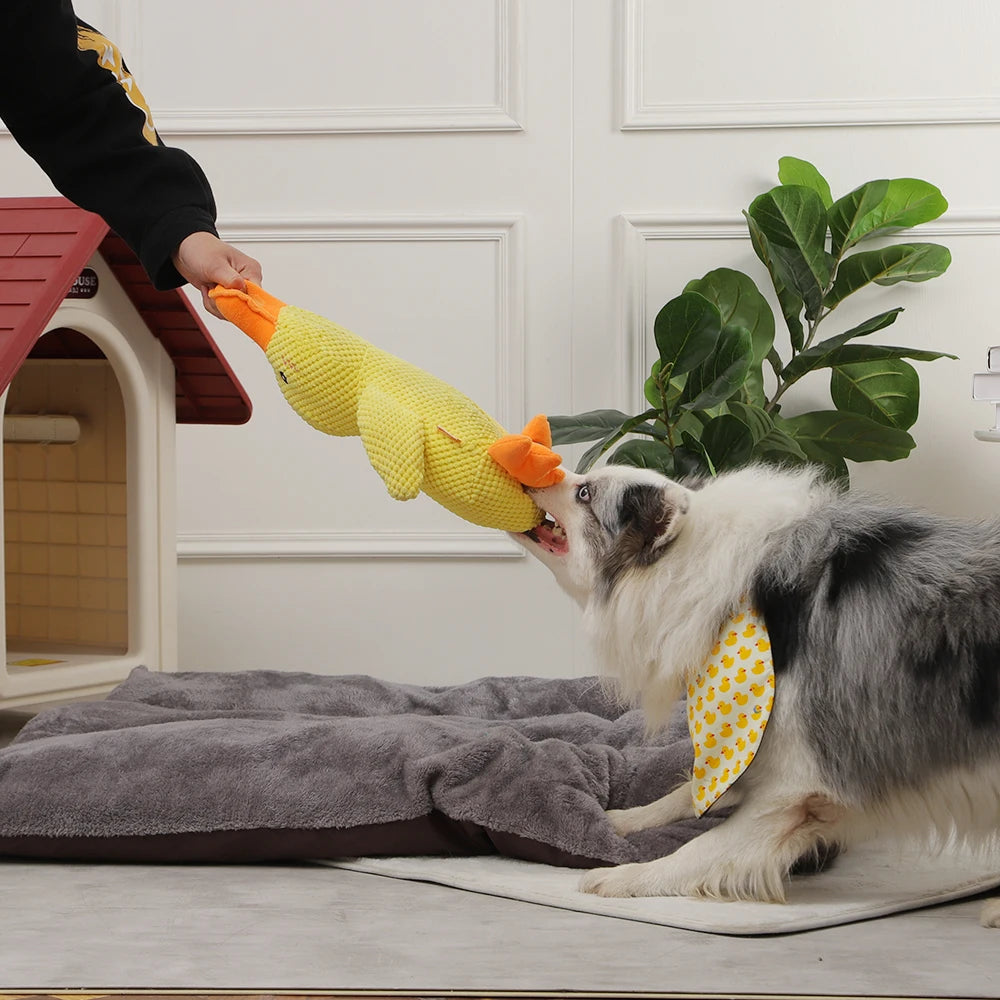 Plush Squeaky Dog Toy – Soft, Durable & Interactive Chew Toy for Dogs🐶🎾