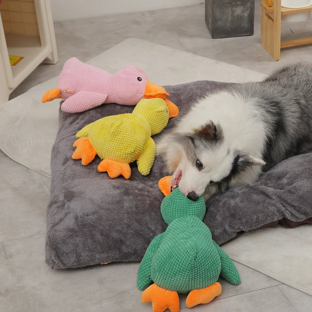 Plush Squeaky Dog Toy – Soft, Durable & Interactive Chew Toy for Dogs🐶🎾