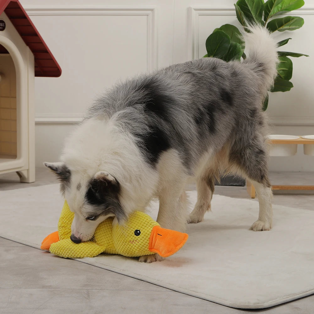 Plush Squeaky Dog Toy – Soft, Durable & Interactive Chew Toy for Dogs🐶🎾