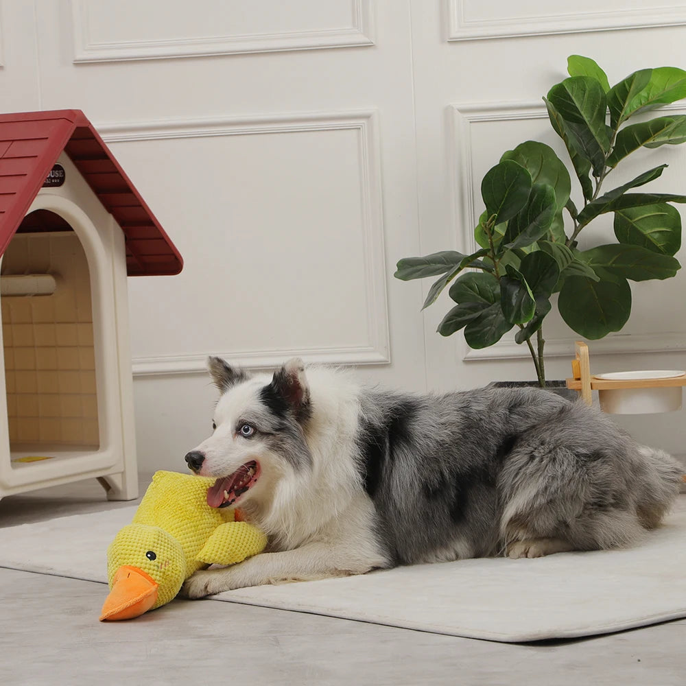 Plush Squeaky Dog Toy – Soft, Durable & Interactive Chew Toy for Dogs🐶🎾