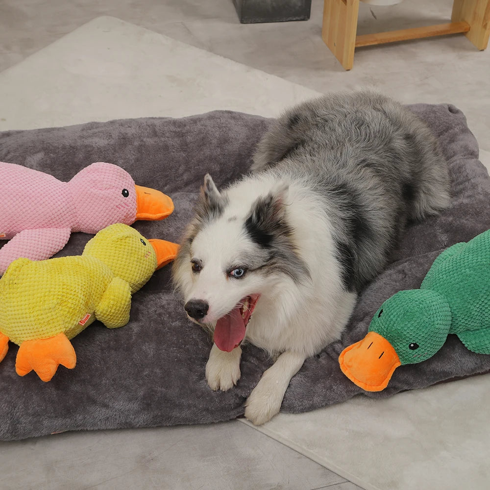 Plush Squeaky Dog Toy – Soft, Durable & Interactive Chew Toy for Dogs🐶🎾