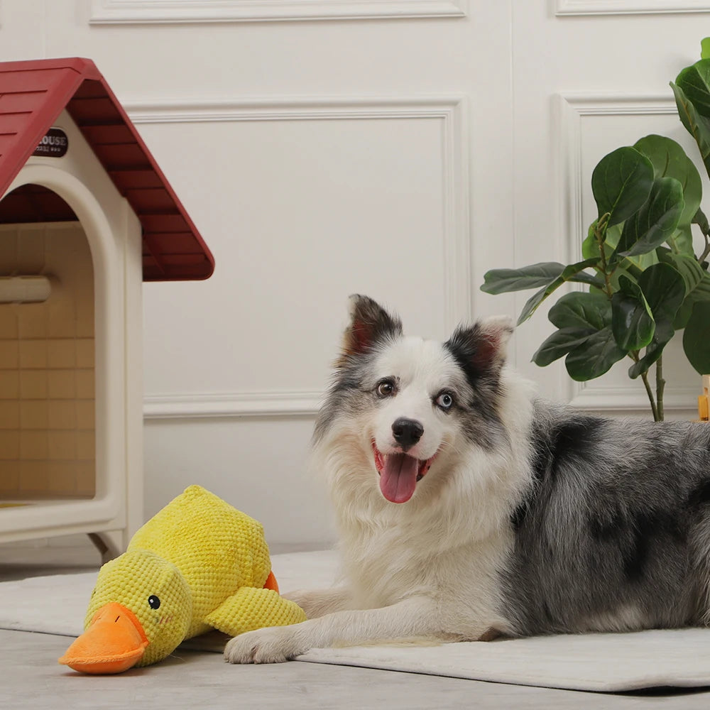 Plush Squeaky Dog Toy – Soft, Durable & Interactive Chew Toy for Dogs🐶🎾
