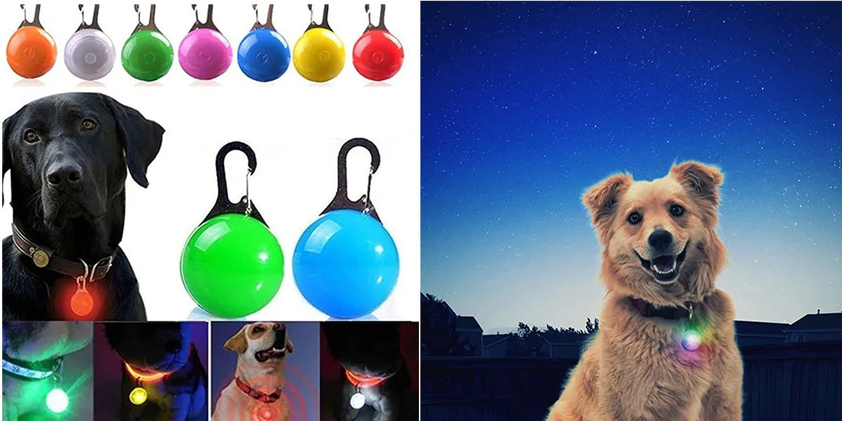 USB Rechargeable LED Dog Collar – High-Visibility & Waterproof for Night Walks💡