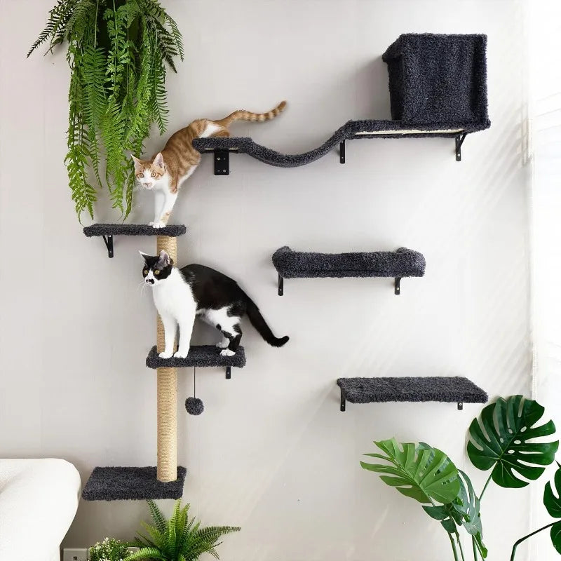 Wooden Cat Climbing Wall Set – Multi-Level Perch, Scratch & Lounge