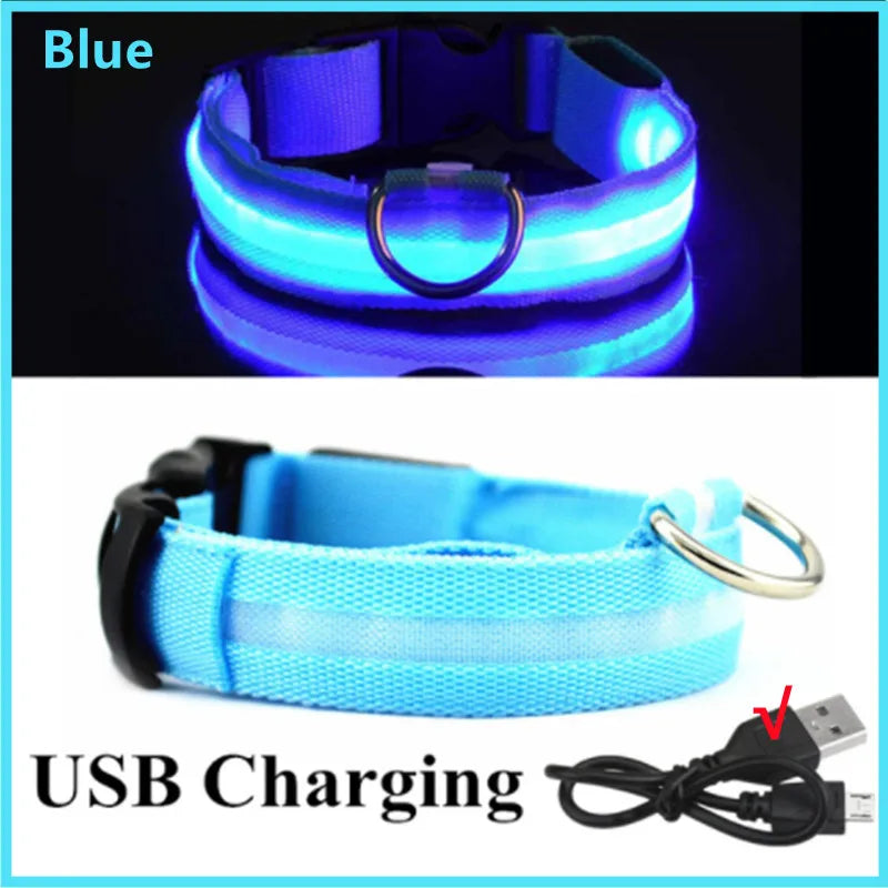 USB Rechargeable LED Dog Collar – High-Visibility & Waterproof for Night Walks💡
