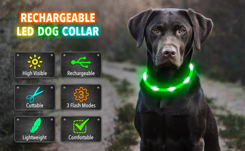USB Rechargeable LED Dog Collar – High-Visibility & Waterproof for Night Walks💡