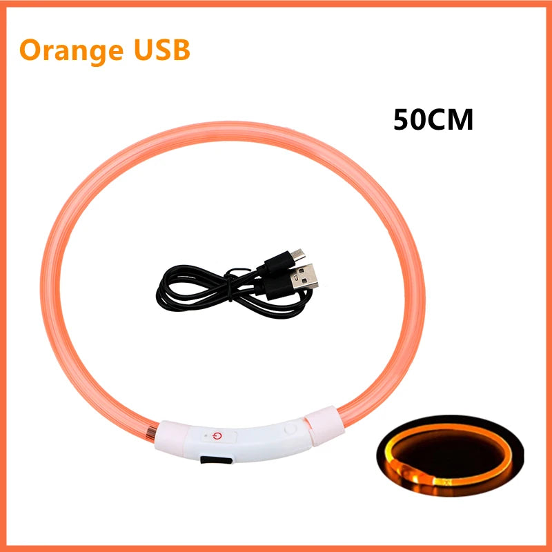 USB Rechargeable LED Dog Collar – High-Visibility & Waterproof for Night Walks💡