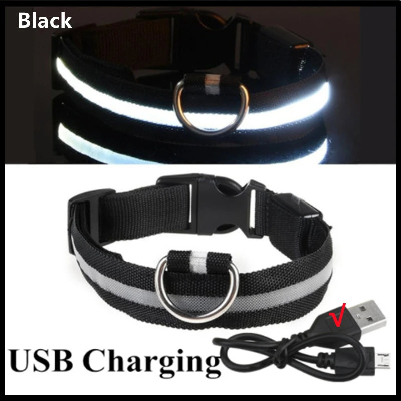 USB Rechargeable LED Dog Collar – High-Visibility & Waterproof for Night Walks💡