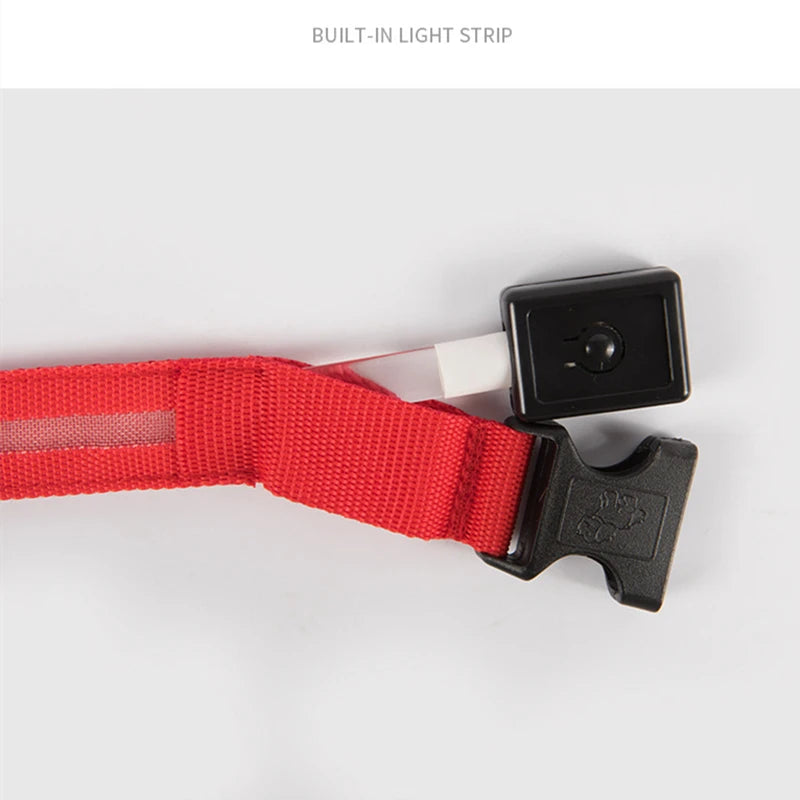 USB Rechargeable LED Dog Collar – High-Visibility & Waterproof for Night Walks💡