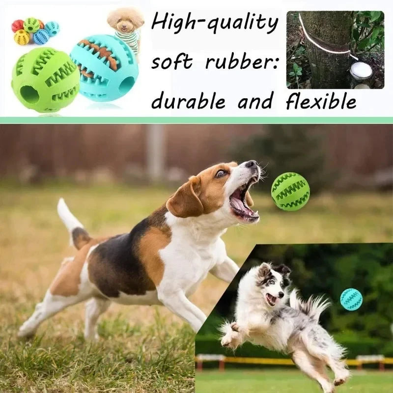 Interactive Dog Ball – Treat Dispenser & Chew Toy for Small Dogs & Puppies 🐶🎾