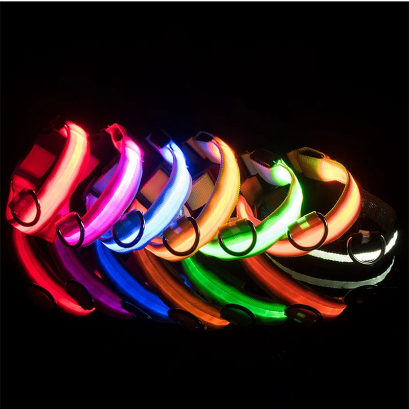 USB Rechargeable LED Dog Collar – High-Visibility & Waterproof for Night Walks💡