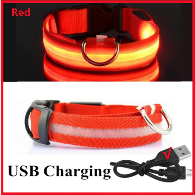 USB Rechargeable LED Dog Collar – High-Visibility & Waterproof for Night Walks💡
