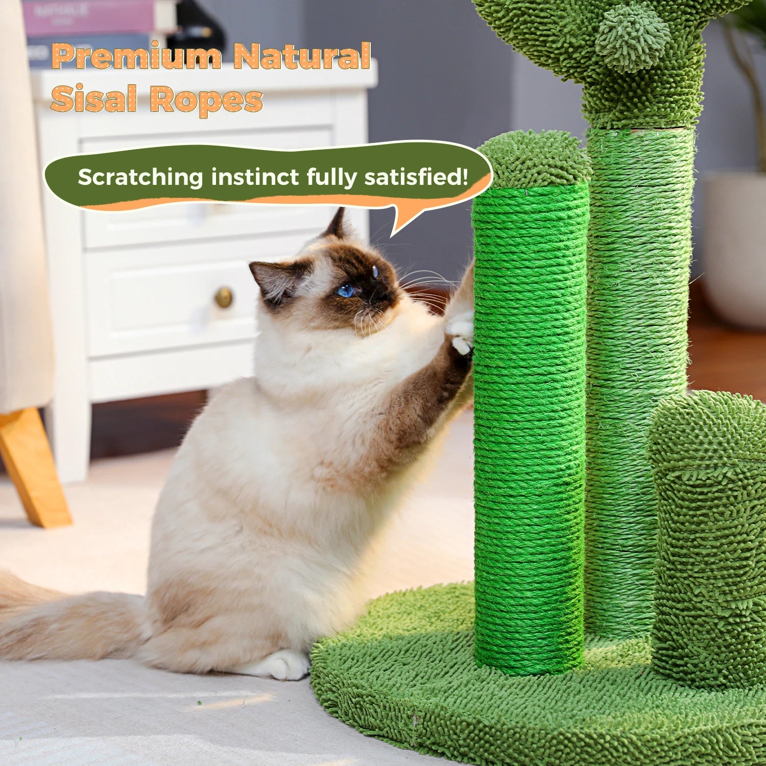 Cactus Cat Scratching Post – Fun, Durable & Interactive Scratch Tower