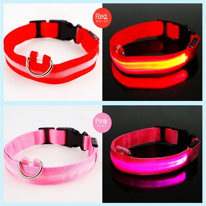 USB Rechargeable LED Dog Collar – High-Visibility & Waterproof for Night Walks💡