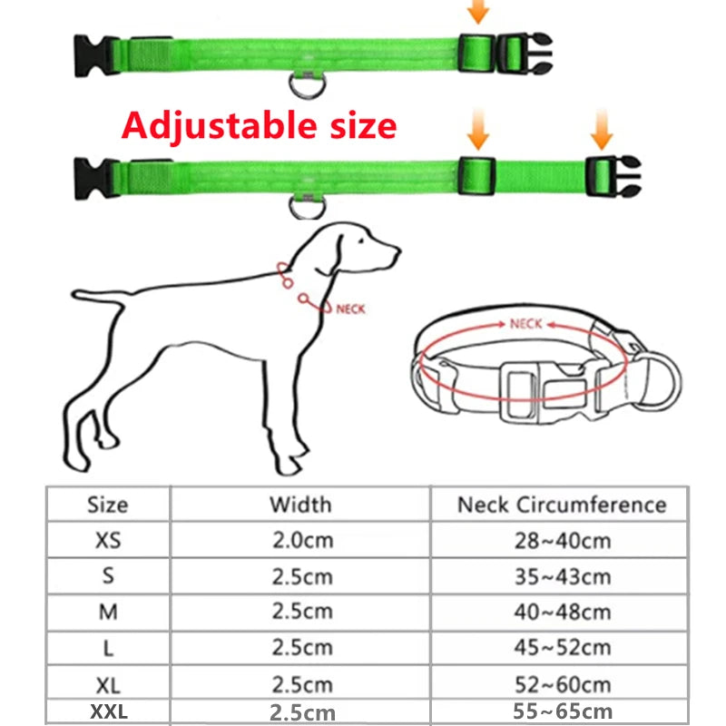 USB Rechargeable LED Dog Collar – High-Visibility & Waterproof for Night Walks💡