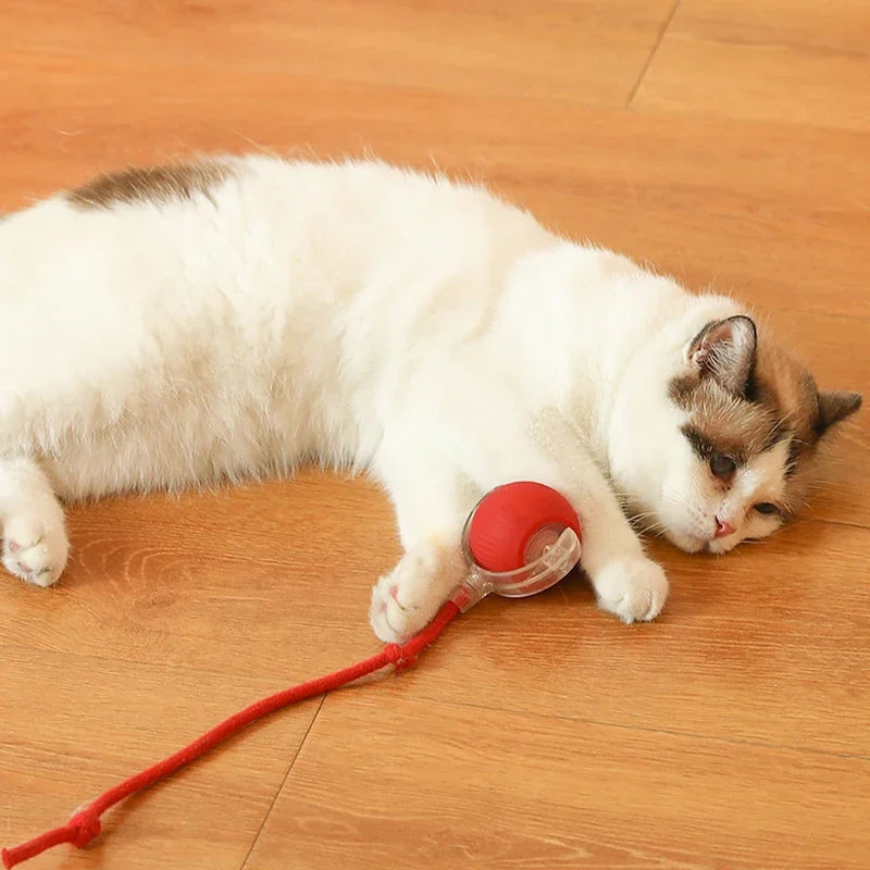 Automatic Interactive Cat Ball – Smart Rolling Toy for Endless Fun