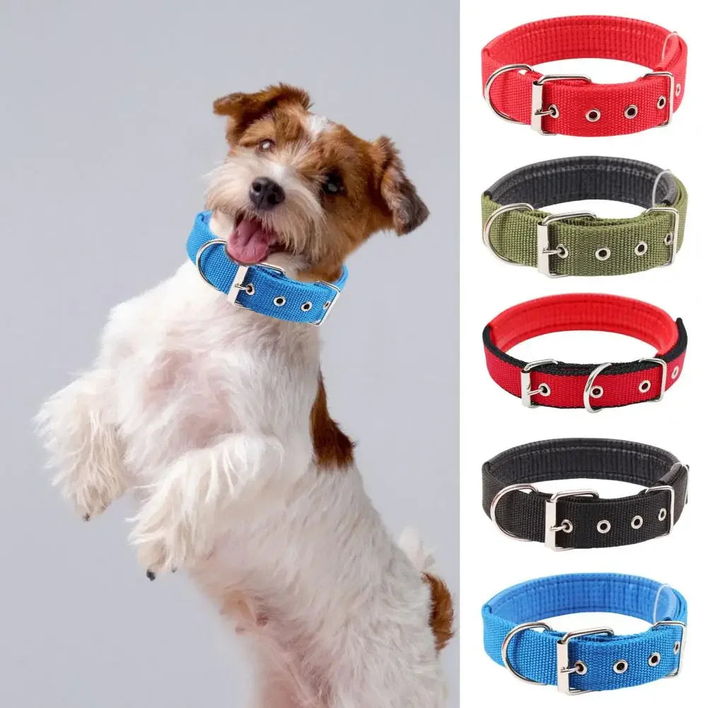 🐶 Adjustable Nylon Dog Collar – Durable, Comfortable & Secure 🦴