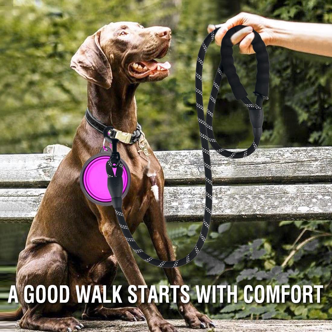 Heavy-Duty Reflective Dog Leash – No-Pull, Durable & Comfortable for All Breeds🐾
