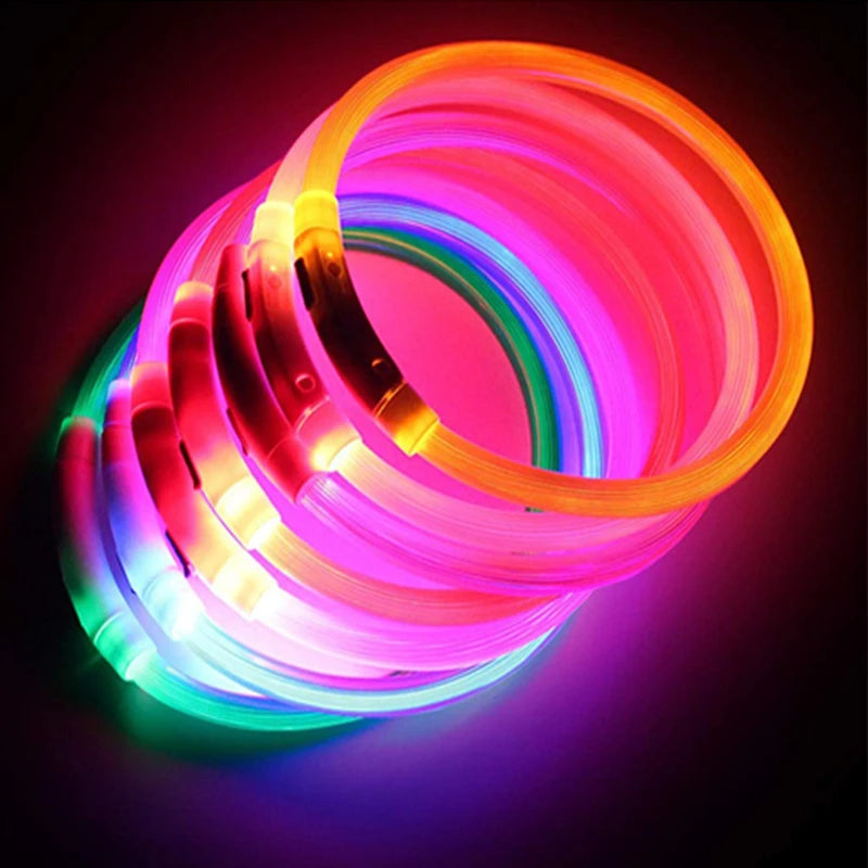 USB Rechargeable LED Dog Collar – High-Visibility & Waterproof for Night Walks💡