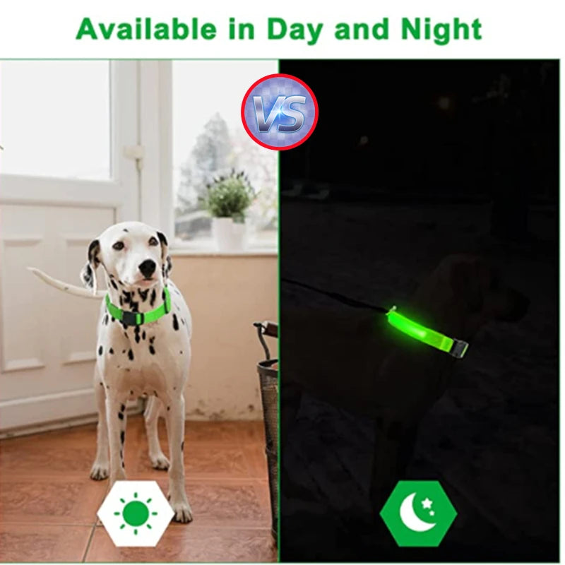 USB Rechargeable LED Dog Collar – High-Visibility & Waterproof for Night Walks💡