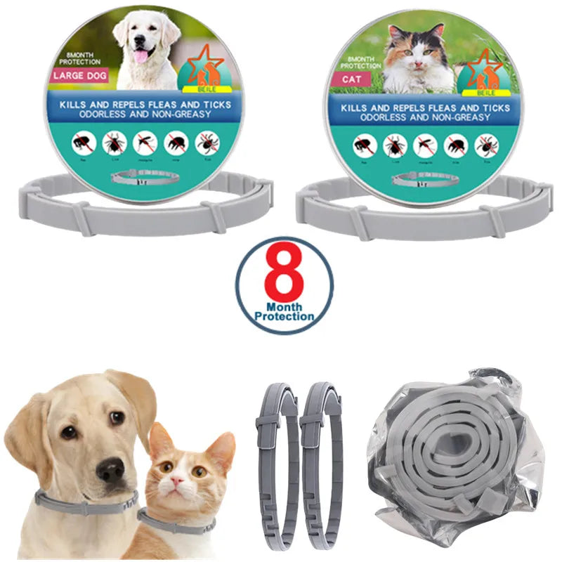 USB Rechargeable LED Dog Collar – High-Visibility & Waterproof for Night Walks💡