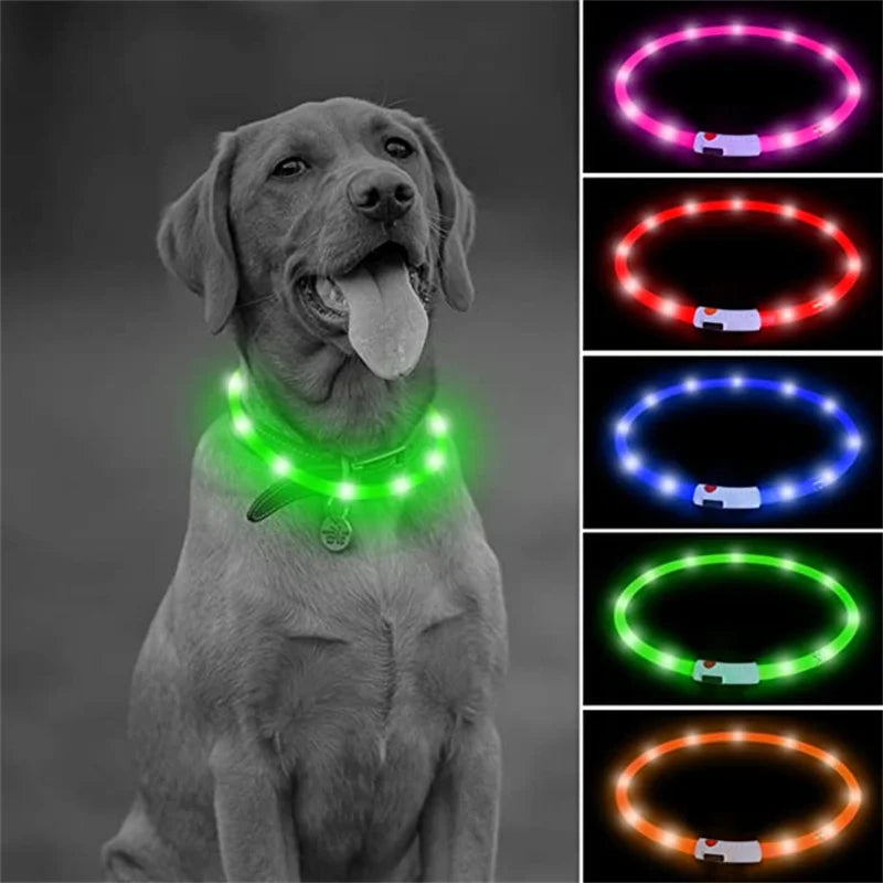 USB Rechargeable LED Dog Collar – High-Visibility & Waterproof for Night Walks💡