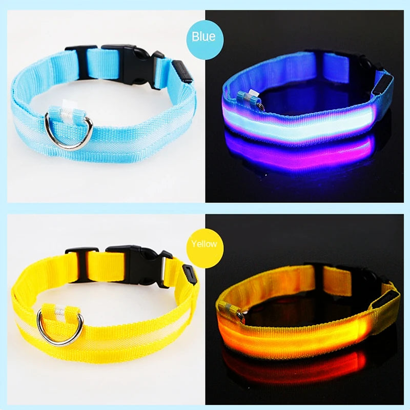 USB Rechargeable LED Dog Collar – High-Visibility & Waterproof for Night Walks💡