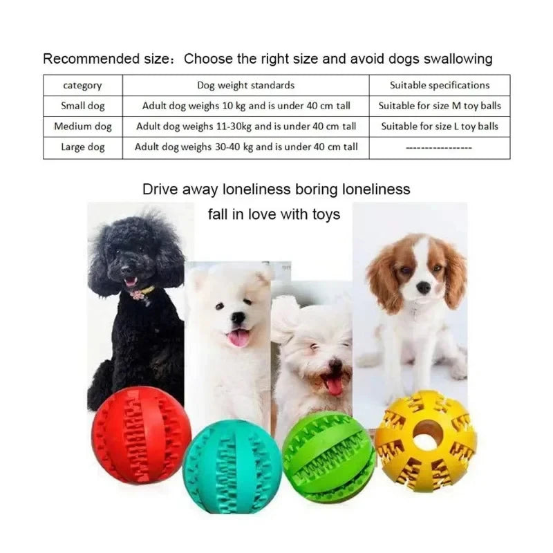 Interactive Dog Ball – Treat Dispenser & Chew Toy for Small Dogs & Puppies 🐶🎾