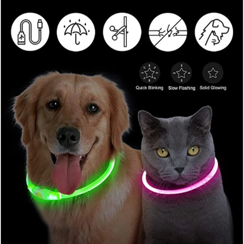 USB Rechargeable LED Dog Collar – High-Visibility & Waterproof for Night Walks💡