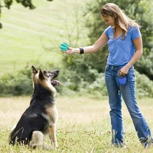 Interactive Dog Ball – Treat Dispenser & Chew Toy for Small Dogs & Puppies 🐶🎾