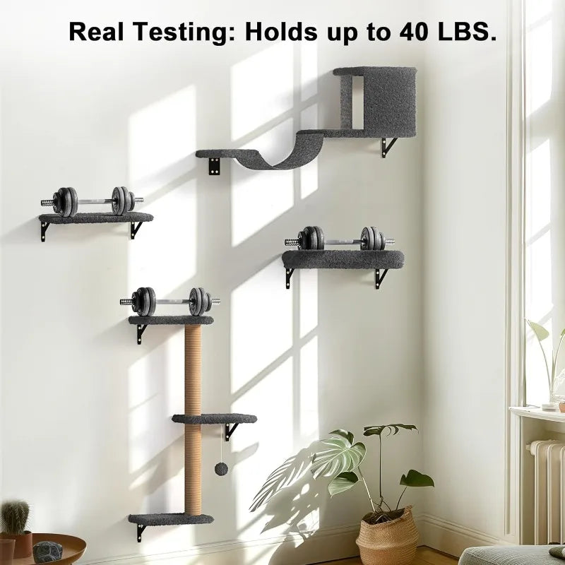 Wooden Cat Climbing Wall Set – Multi-Level Perch, Scratch & Lounge