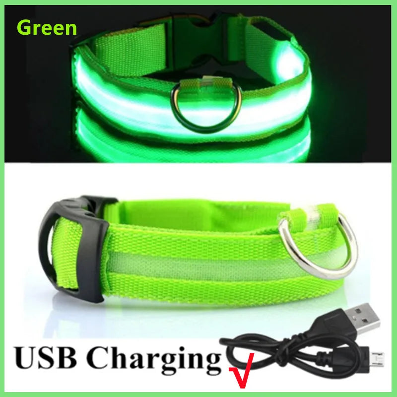 USB Rechargeable LED Dog Collar – High-Visibility & Waterproof for Night Walks💡