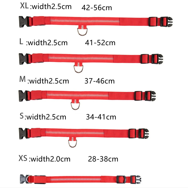USB Rechargeable LED Dog Collar – High-Visibility & Waterproof for Night Walks💡
