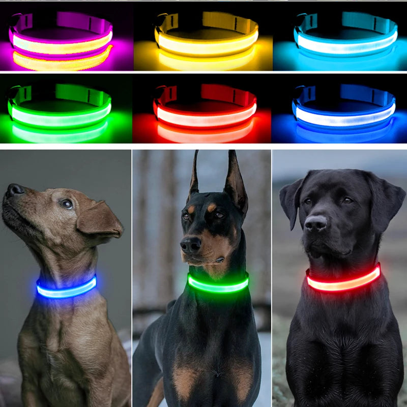 USB Rechargeable LED Dog Collar – High-Visibility & Waterproof for Night Walks💡