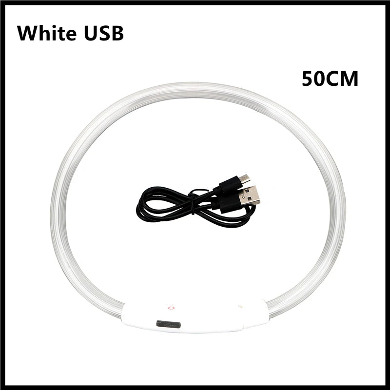 USB Rechargeable LED Dog Collar – High-Visibility & Waterproof for Night Walks💡