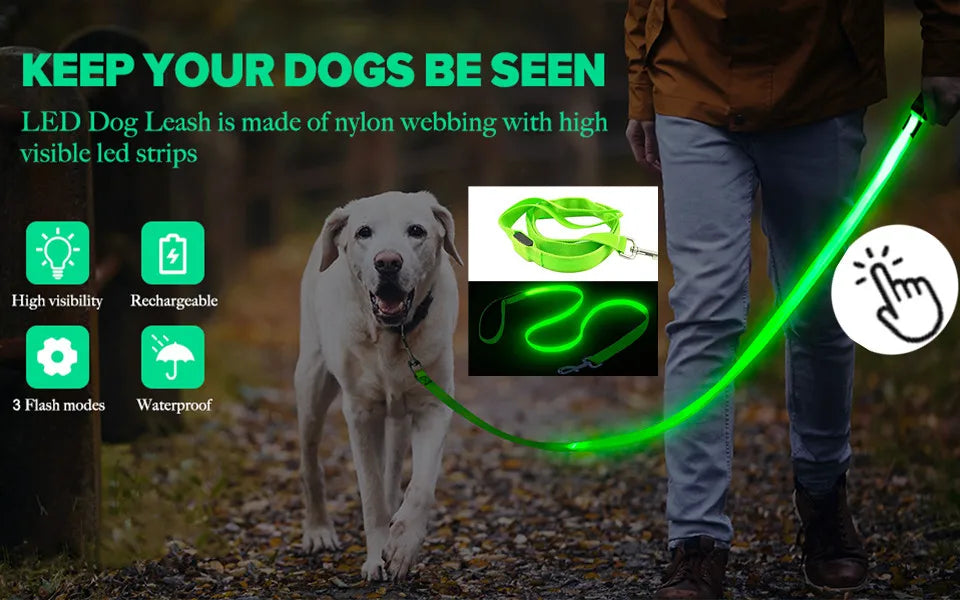 USB Rechargeable LED Dog Collar – High-Visibility & Waterproof for Night Walks💡