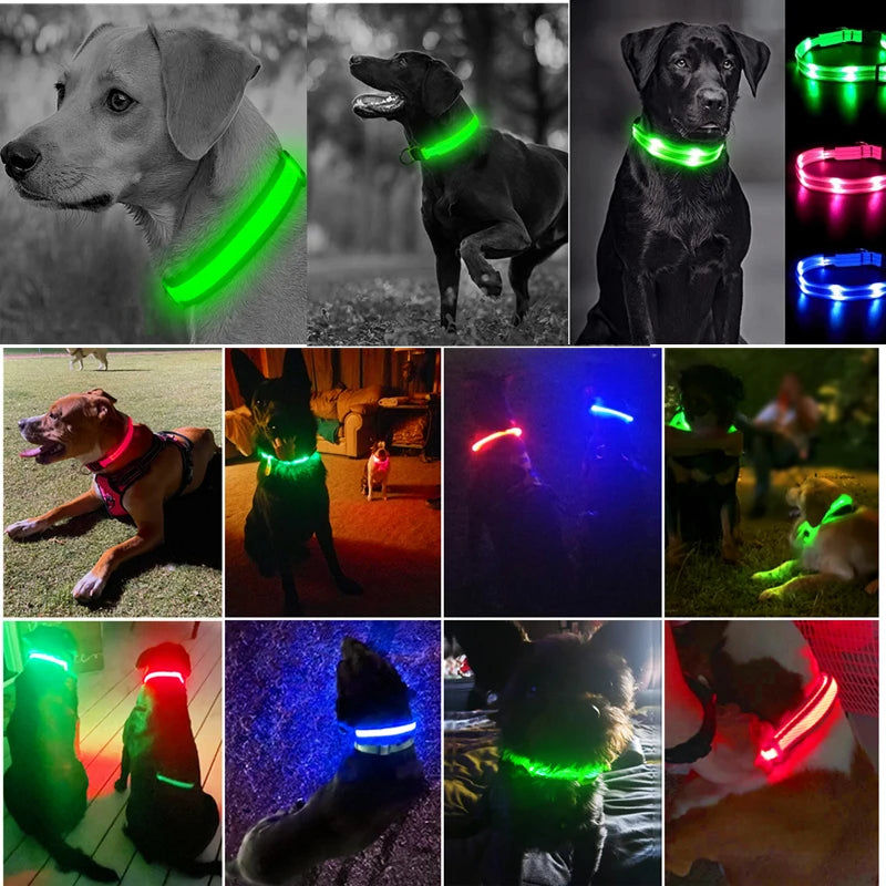 USB Rechargeable LED Dog Collar – High-Visibility & Waterproof for Night Walks💡