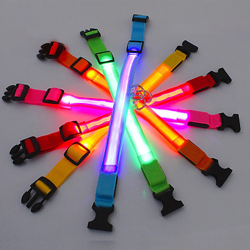 USB Rechargeable LED Dog Collar – High-Visibility & Waterproof for Night Walks💡