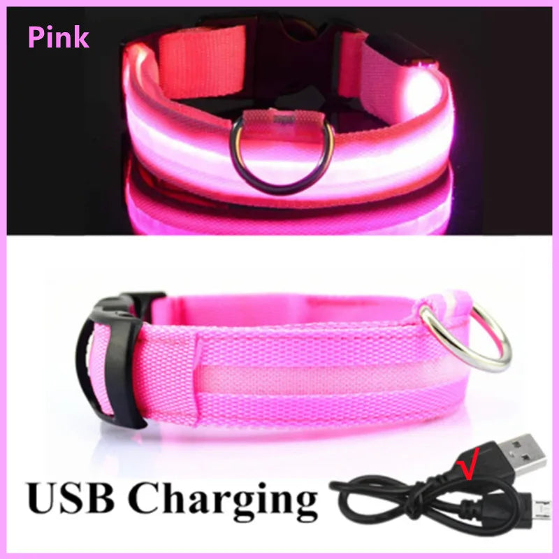 USB Rechargeable LED Dog Collar – High-Visibility & Waterproof for Night Walks💡