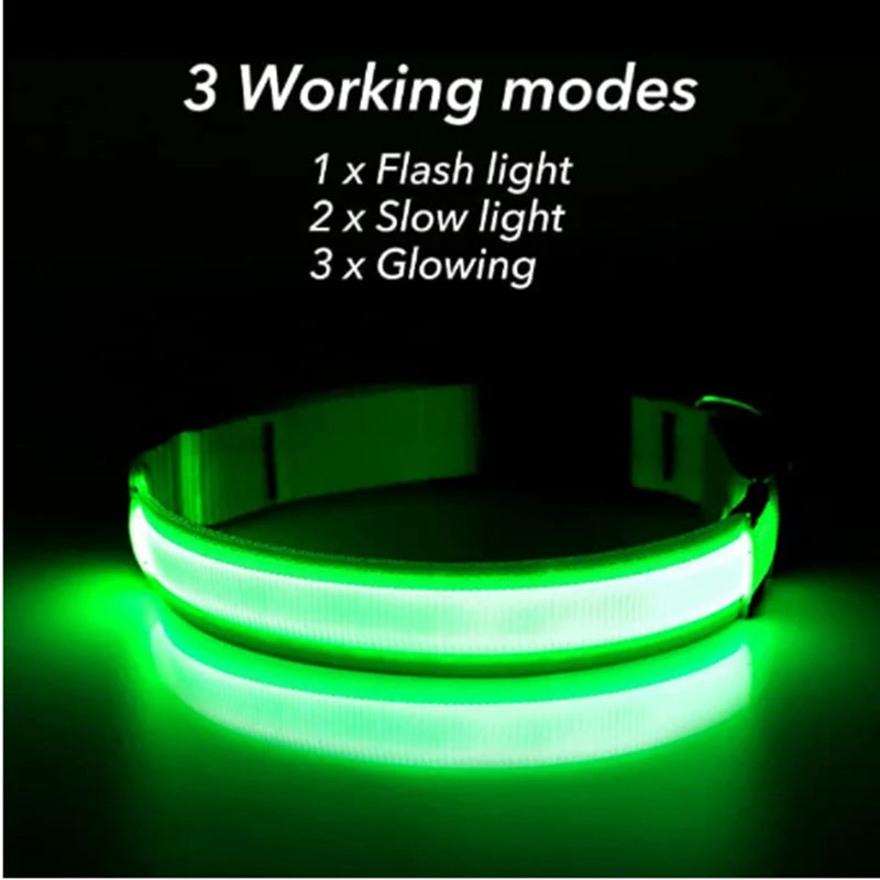 USB Rechargeable LED Dog Collar – High-Visibility & Waterproof for Night Walks💡