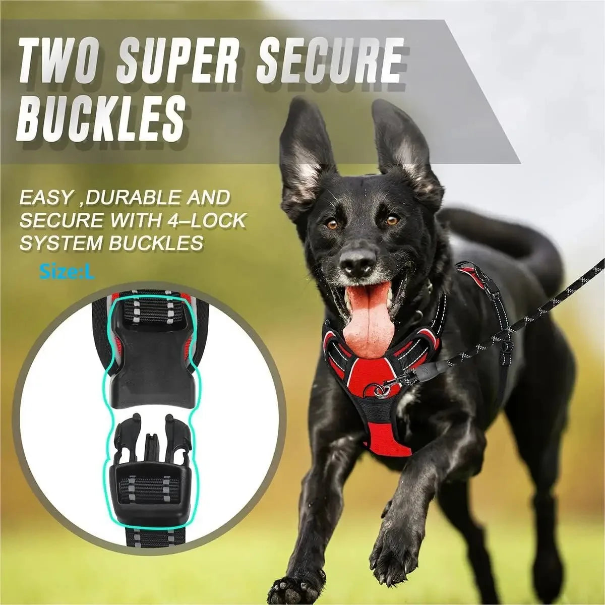 Adjustable Breathable Puppy Harness – Safe, Lightweight & Stylish for Small Dogs🐾