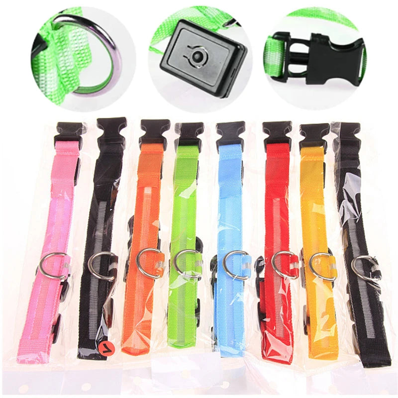 USB Rechargeable LED Dog Collar – High-Visibility & Waterproof for Night Walks💡