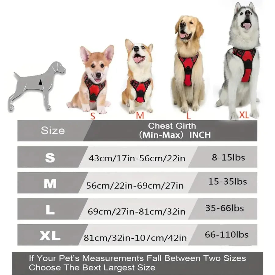Adjustable Breathable Puppy Harness – Safe, Lightweight & Stylish for Small Dogs🐾