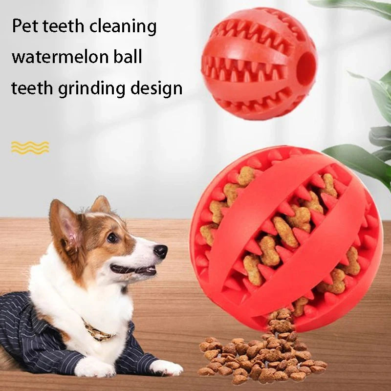 Interactive Dog Ball – Treat Dispenser & Chew Toy for Small Dogs & Puppies 🐶🎾