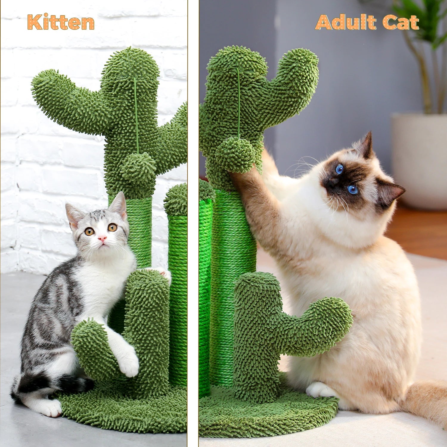 Cactus Cat Scratching Post – Fun, Durable & Interactive Scratch Tower