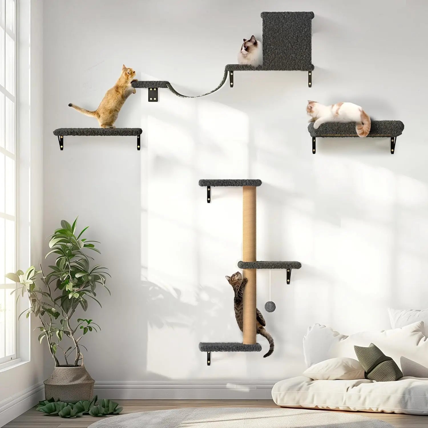 Wooden Cat Climbing Wall Set – Multi-Level Perch, Scratch & Lounge