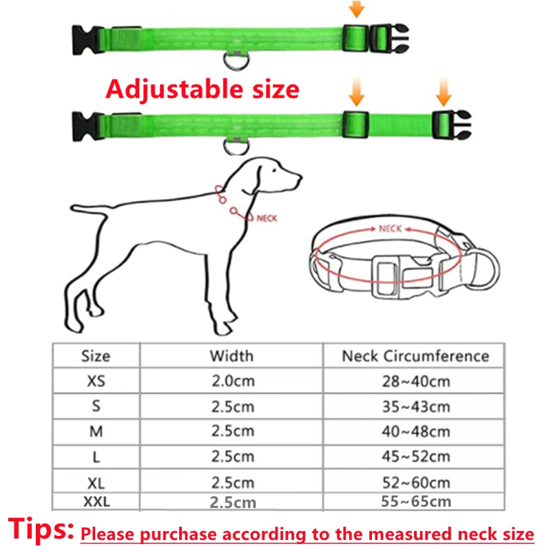 USB Rechargeable LED Dog Collar – High-Visibility & Waterproof for Night Walks💡
