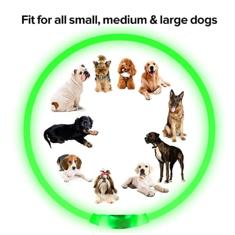 USB Rechargeable LED Dog Collar – High-Visibility & Waterproof for Night Walks💡