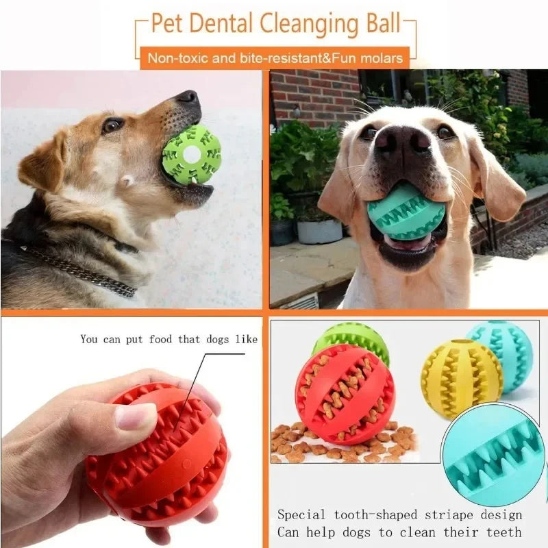 Interactive Dog Ball – Treat Dispenser & Chew Toy for Small Dogs & Puppies 🐶🎾