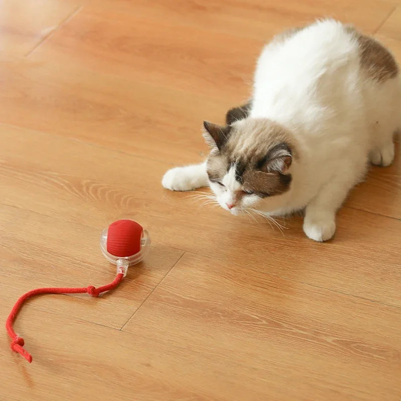 Automatic Interactive Cat Ball – Smart Rolling Toy for Endless Fun